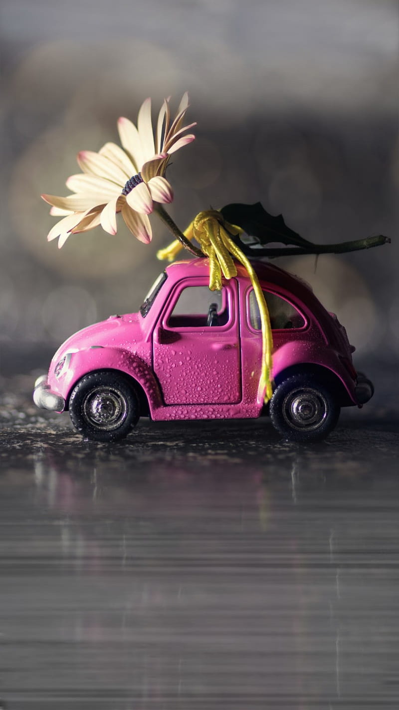 Pink car, flower, mini, toy, HD phone wallpaper
