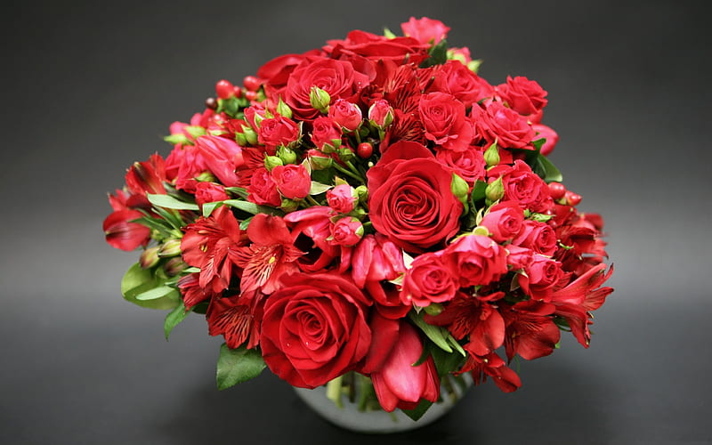 red roses, red flower, rose, red flowers, HD wallpaper