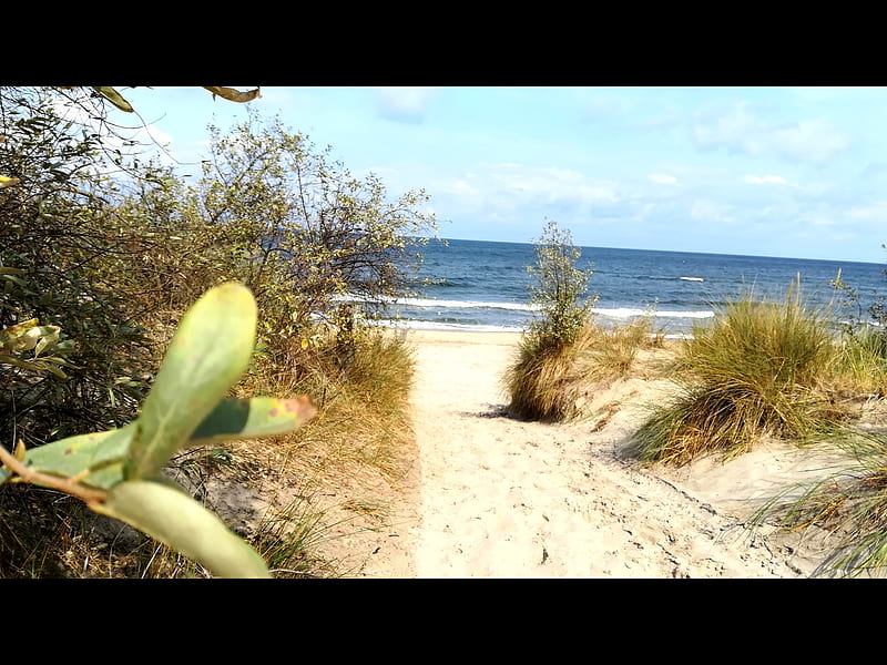 Strand , landscape, beach, ostsee, deutschland, wellen, sand, wasser, baden, sommer, HD wallpaper