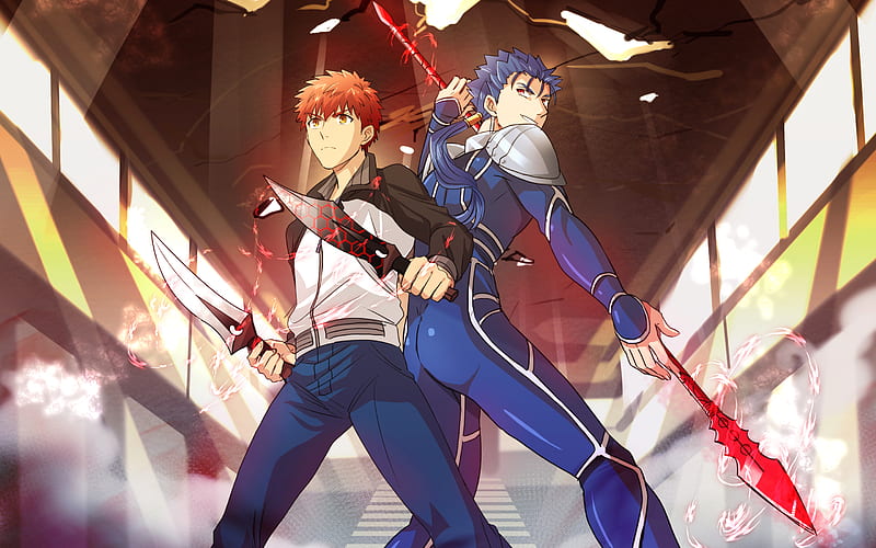 Emiya Shirou, Lancer, manga, art, Fate Stay night, HD wallpaper | Peakpx