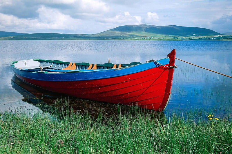 red rowboat, rowboat, red, water, grass, HD wallpaper