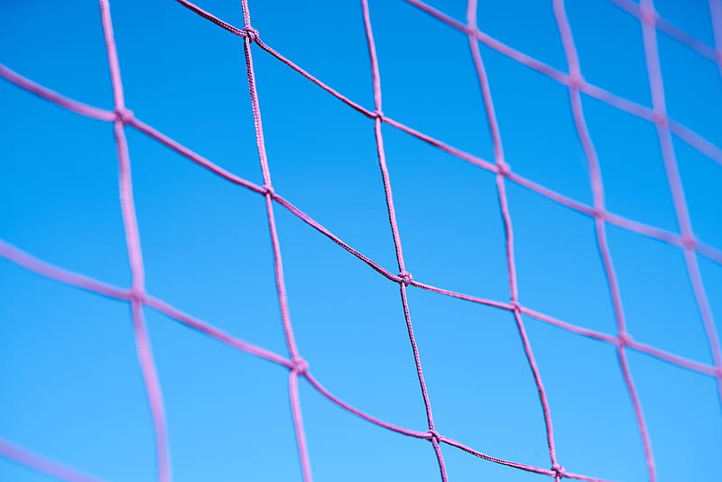 Purple Volleyball Net, HD wallpaper
