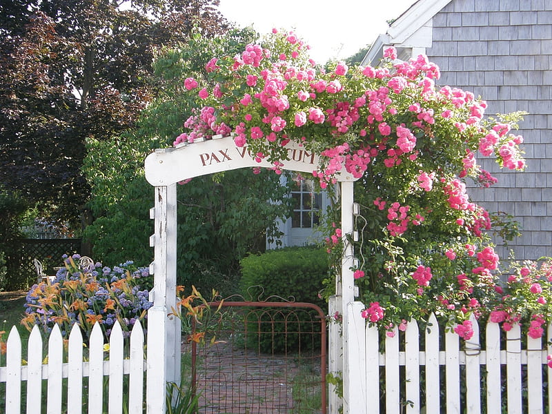Roses Gate, gate, arch, home, garden, roses, HD wallpaper
