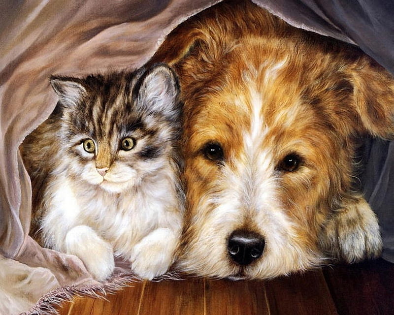 Friends, painting, resting, cat, friendly, artwork, dog, HD wallpaper
