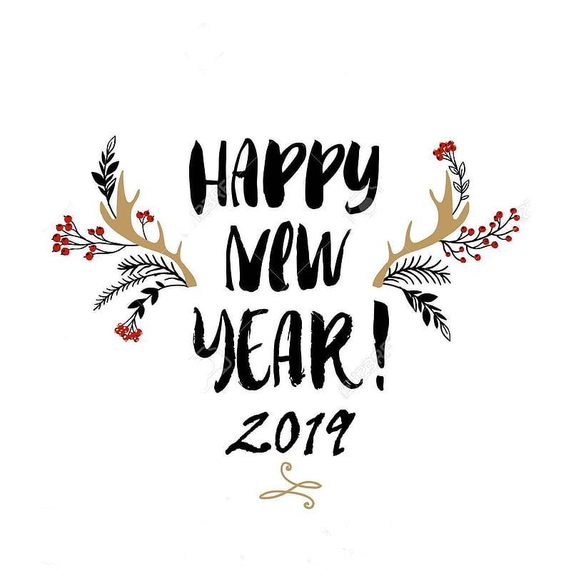 happy new year 2019, newyear19, happy new year, best, HD phone wallpaper