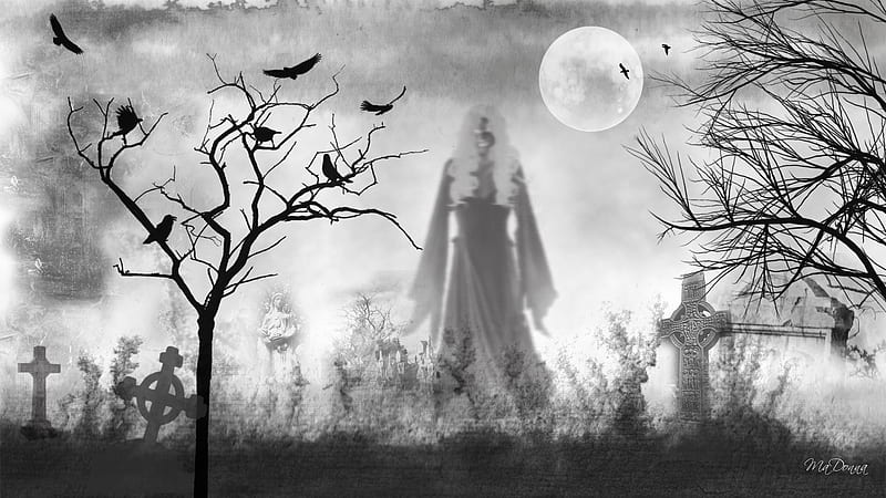 Wandering Through Time, romantic, cemetery, crows, angel, firefox persona, mysterious, trees, woman, goth, moon, ghost, girl, dark, crosses, lady, HD wallpaper