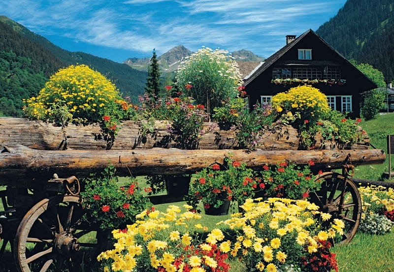 Alpine Flowers, red, house, pots, Mountains, cart, blossoms, yellow, white, HD wallpaper