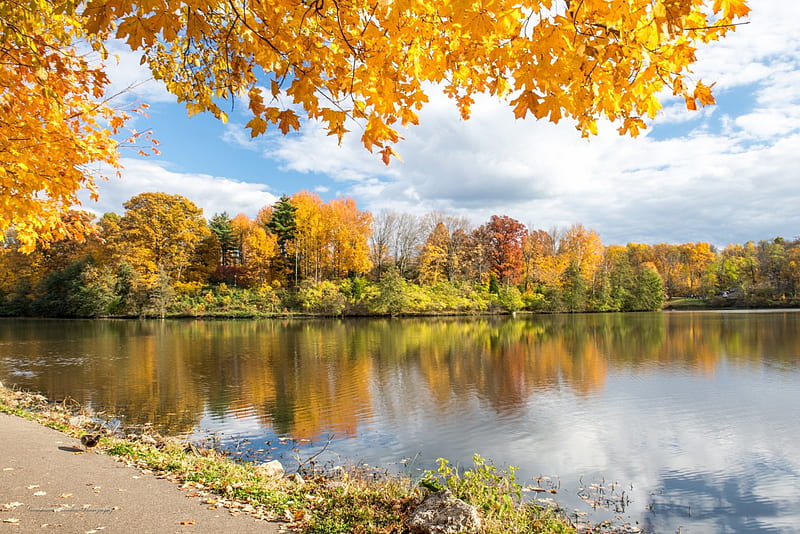 Autumn lake ***, fall, autumn, lakes, nature, trees, HD wallpaper | Peakpx