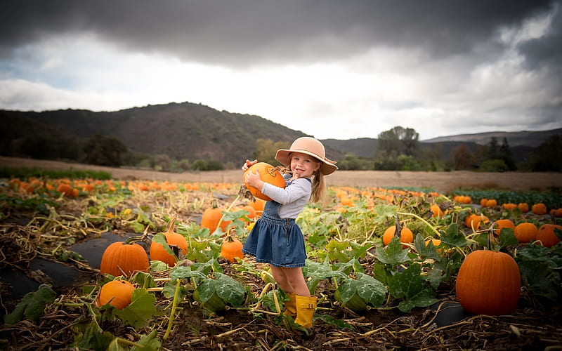 Little Girl with Pumpkin, autumn, pumpkin, girl, fall, HD wallpaper
