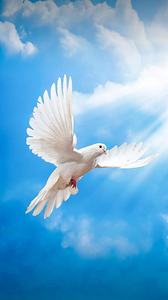 Heaven Background with Doves · Creative Fabrica