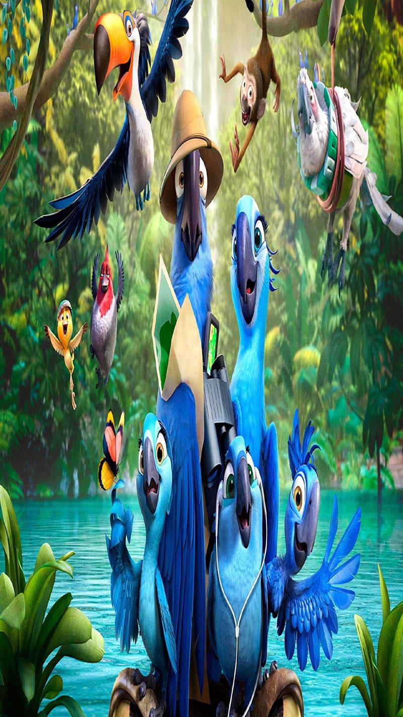 Bird cartoon, bonito, cute, look, nice, HD phone wallpaper | Peakpx