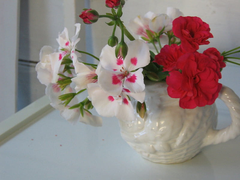✿ Lovely geranium ✿, red, cut, lovely sweet, fresh, geranium, centeriece, love, siempre, flowers, arrangement, garden, white, HD wallpaper