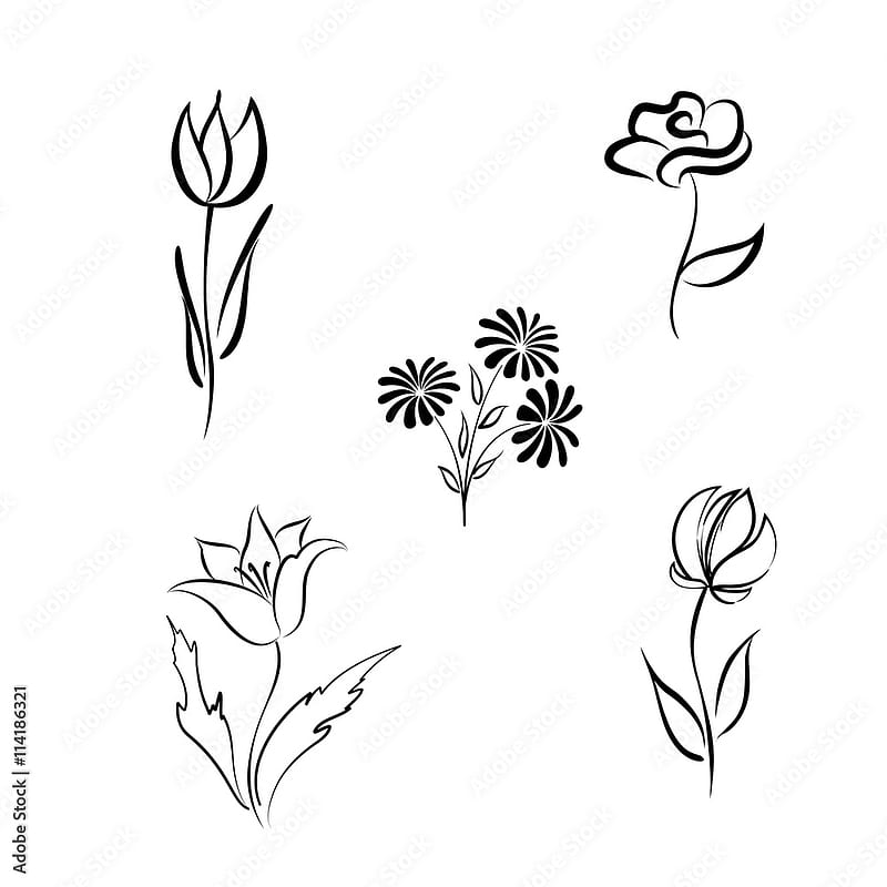  Conjunto de flores dibujo a mano grabado elementos de diseño de floral diferentes flores aisladas. ilustración de stock de bellas artes de línea, Fondo de pantalla de teléfono HD