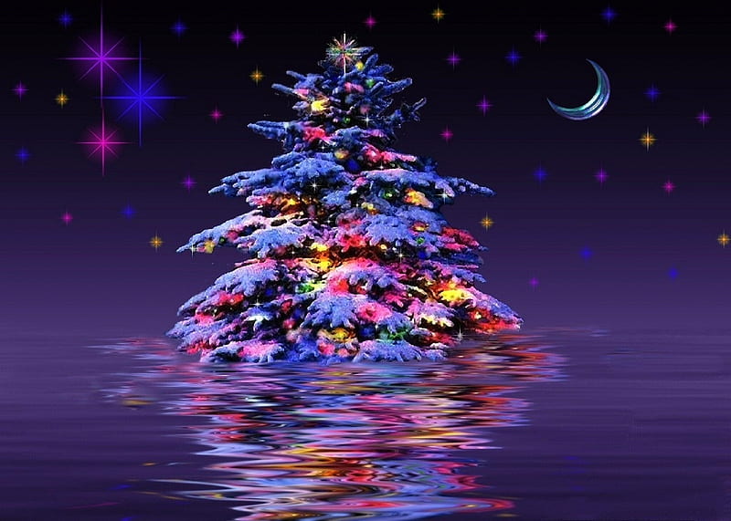 Midnight of Christmas Tree, stars, moons, ornaments, holidays, Christmas Tree, love four seasons, attractions in dreams, xmas and new year, winter, snow, reflections, HD wallpaper