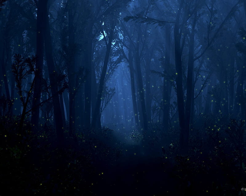 Download hd wallpapers of 725-blue, Night, Forest, Trees, Water