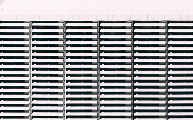 architecture, bw, dark, line, pattern, background, white, HD wallpaper