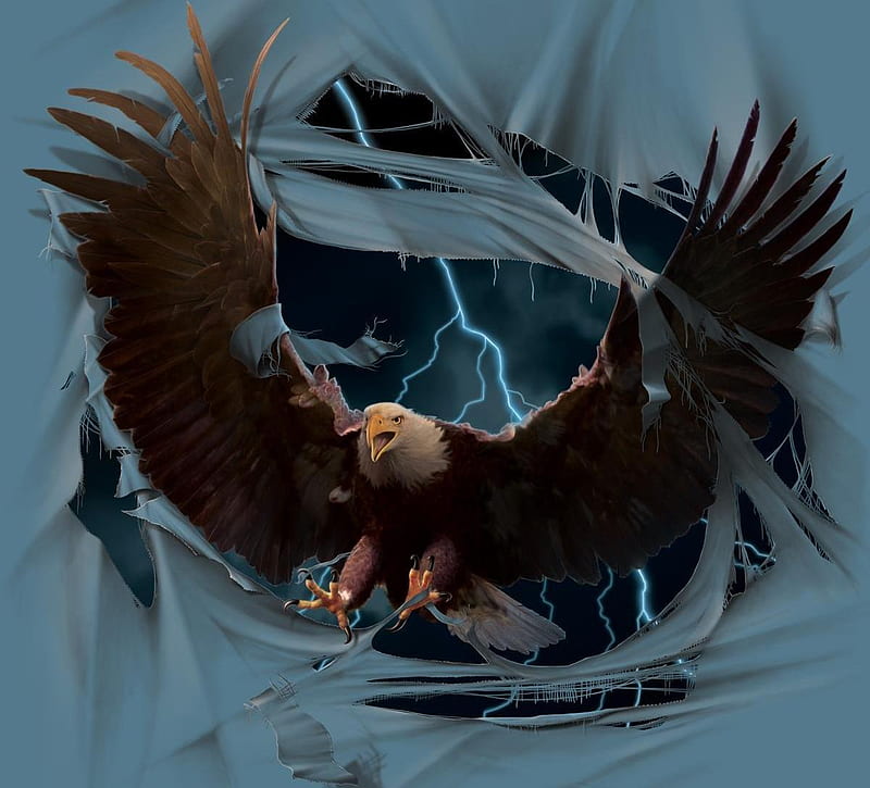 Breakthrough Eagle, bird, flying, eagle, digital art, wing, HD wallpaper