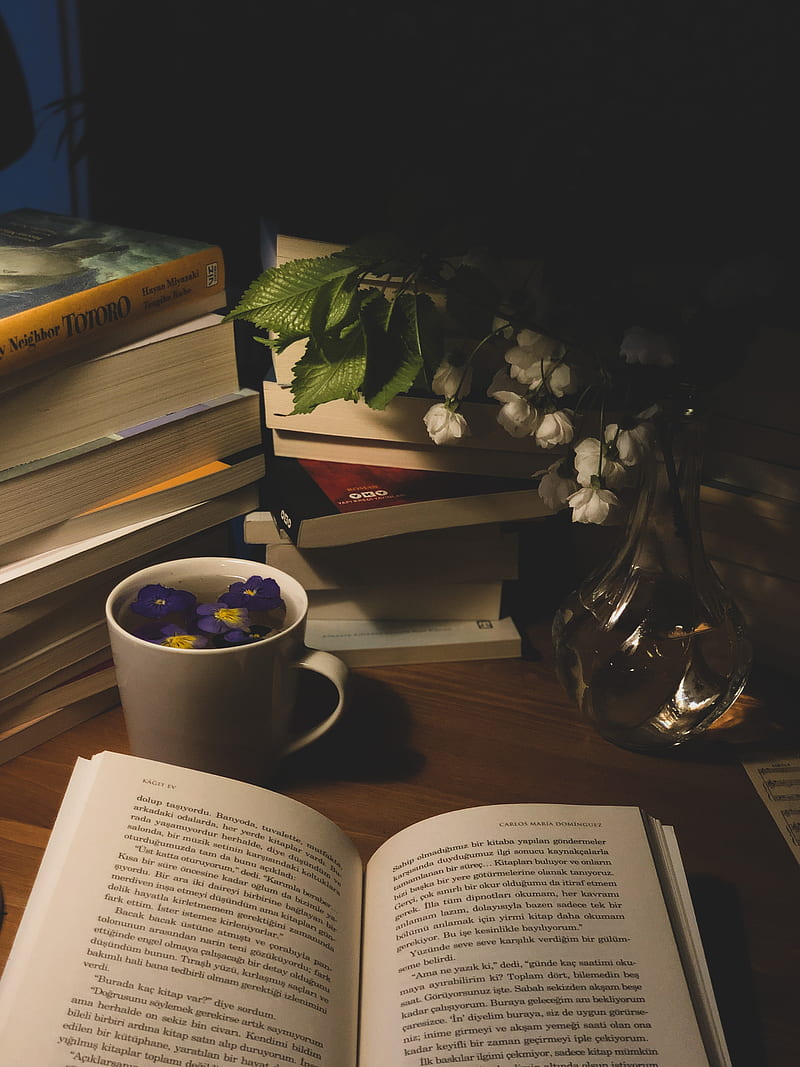 Books, reading, tea, aesthetics, HD phone wallpaper | Peakpx