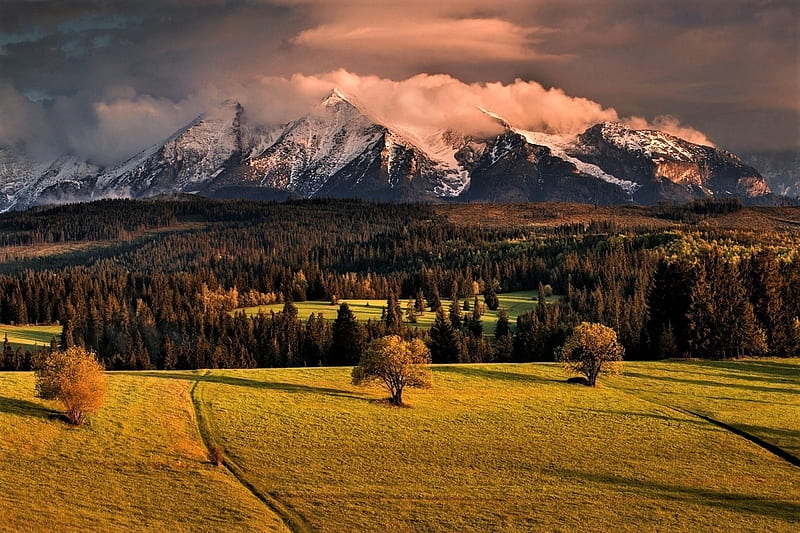 Tatra Mountains Slovakia, sky, slovakia, mountains, meadow, HD wallpaper