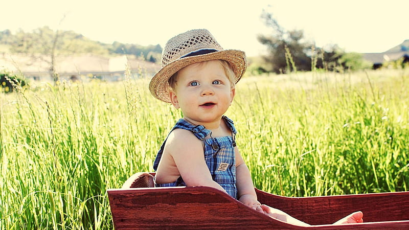 Blue Eyes Baby Boy Is Sitting Inside Wooden Box Wearing Blue Dress And Hat In Green Grass Background Cute, HD wallpaper