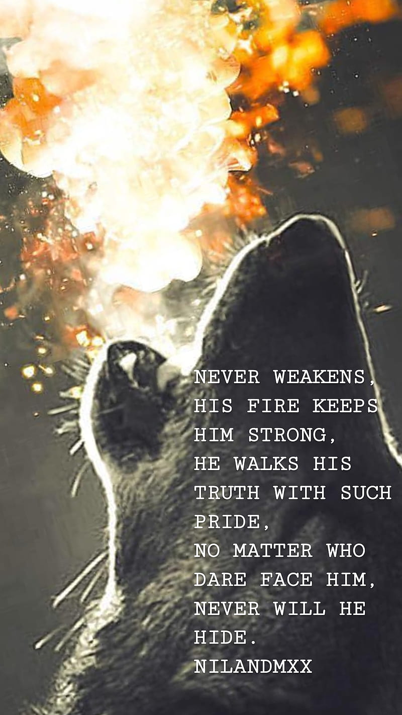 Wolf spirit, drive, strength, fire, trurh, pride, belief, wild, HD phone wallpaper