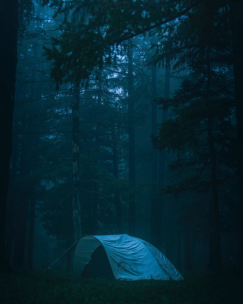 Tent camping forest trees HD phone wallpaper  Peakpx