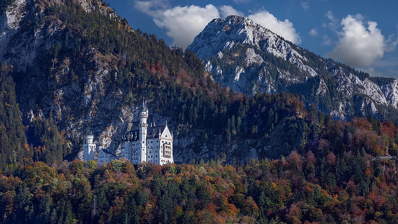 Castles, Neuschwanstein Castle, Bavaria, Castle, Fall, Forest, Germany, Mountain, HD wallpaper