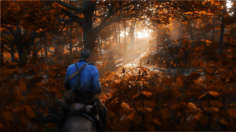 red dead redemption 2, rdr2, forest, autumn, horse, Games, HD wallpaper