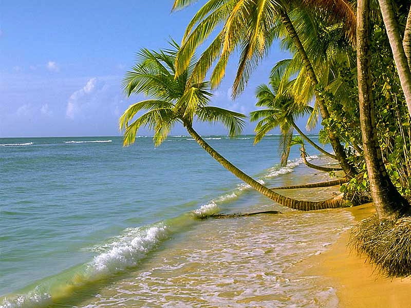 clean beach, clean, HD wallpaper clean beach, clean, HD wallpaper