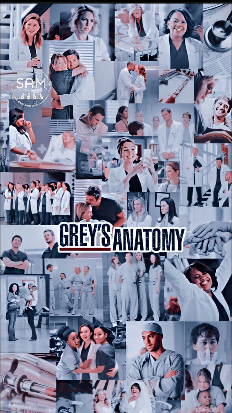 Grey anatomy back, anatomia, entretenimiento, grey, greys anatomy,  medicina, Fondo de pantalla de teléfono HD | Peakpx