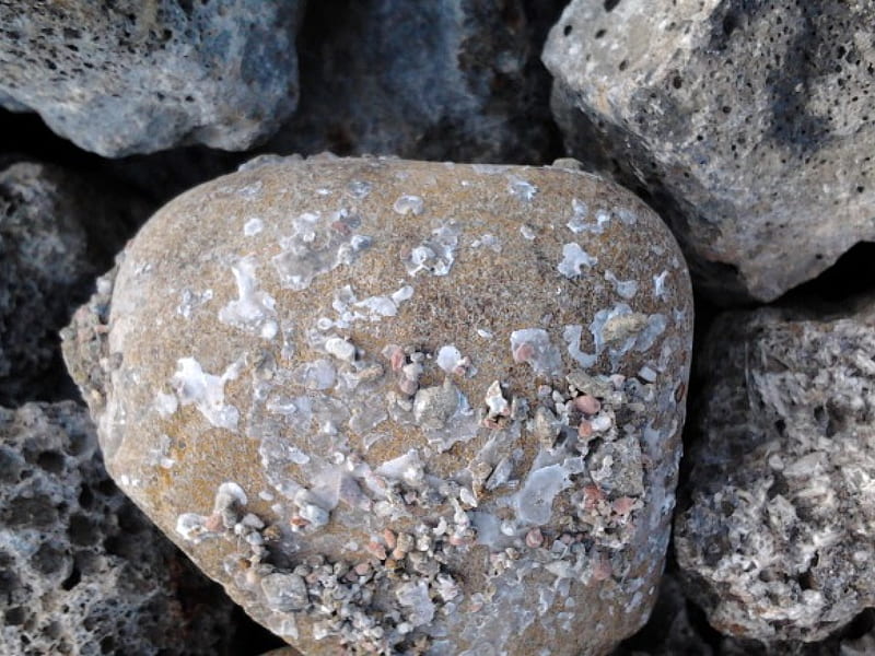 ~~; Hamilton Harbour Stones ;~~, rocks, speckled, nature, stones, HD wallpaper