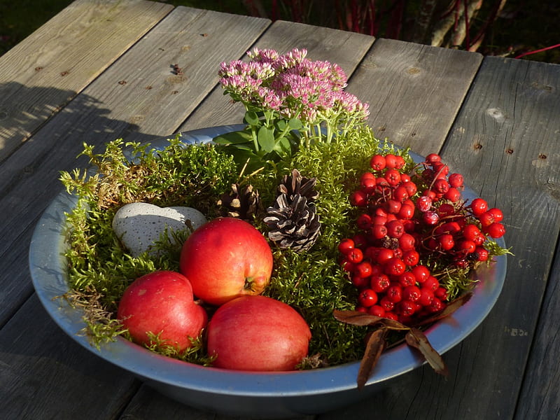 Autumn Decoration, table, apples, cones, outdoors, fruit, berry, heart, moss, flowers, garden, concrete, bowl, HD wallpaper