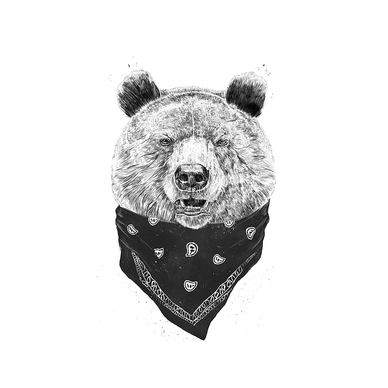 Oso salvaje, balazs, animal, pañuelo, en blanco y negro, dibujo, gángster,  humor, Fondo de pantalla de teléfono HD | Peakpx