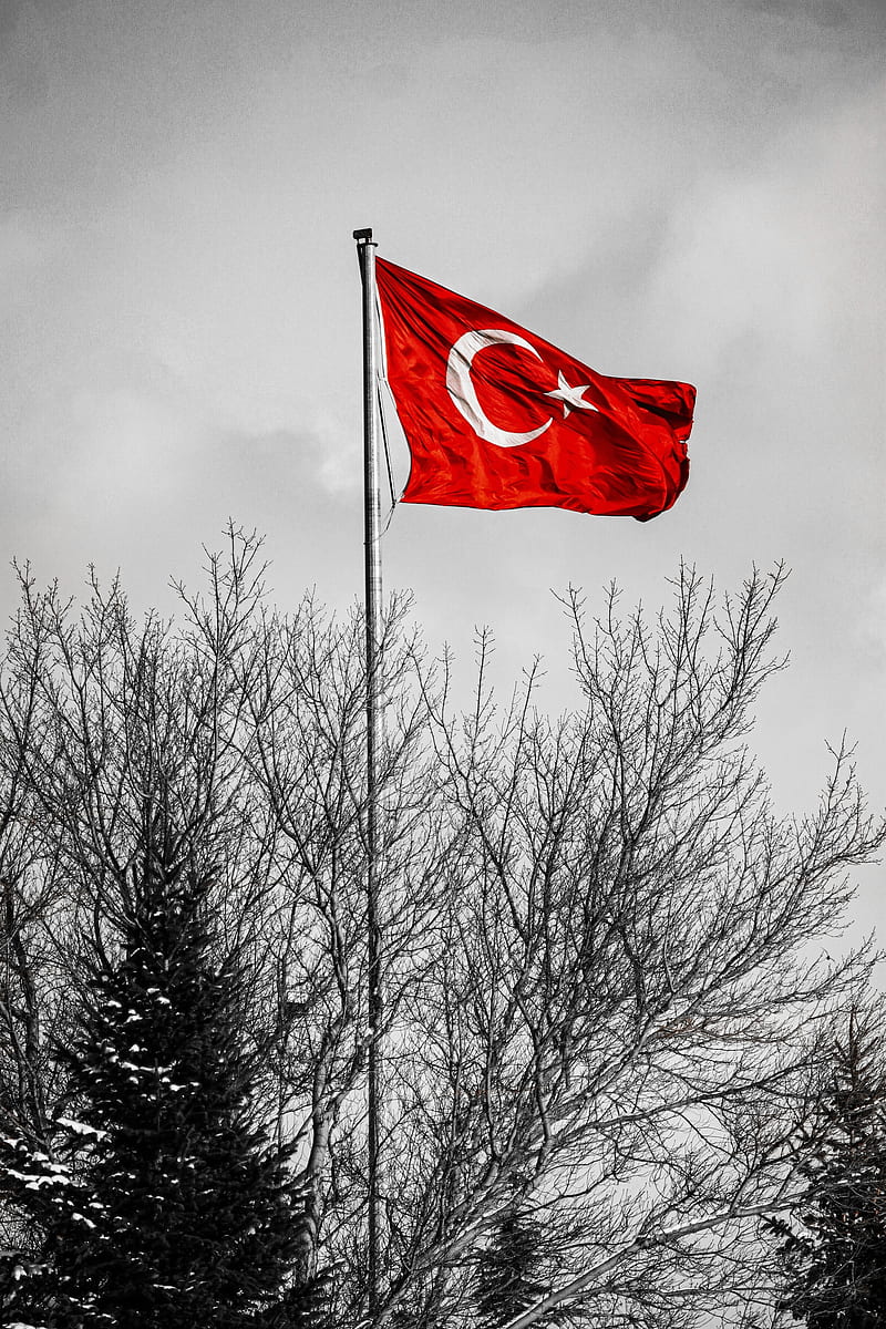 Turkey, flag, flags, turk, turkish, HD phone wallpaper