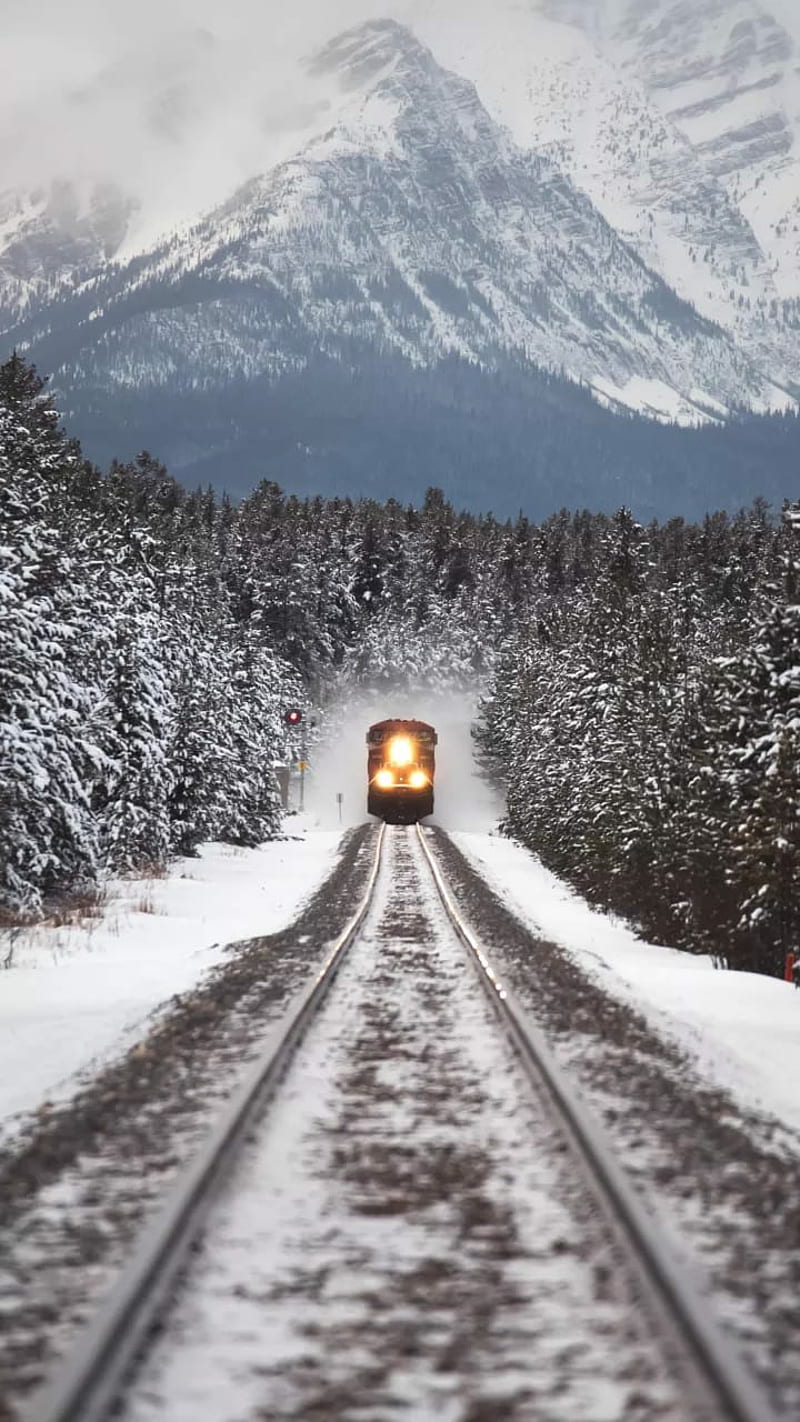 Train, here, mate, natural, winter, winter is here, HD phone wallpaper