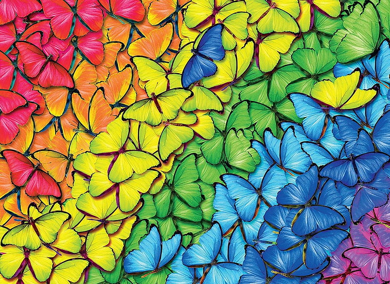 Butterflies, red, yellow, blue, butterfly, texture, pattern, insect, HD ...