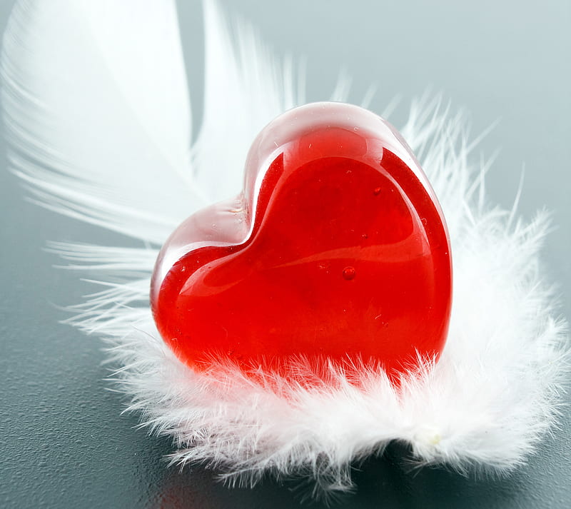 Tender Love, 14 feb, feather, heart, valentine, you, HD wallpaper