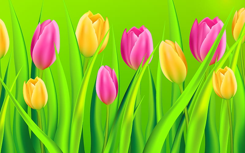 purple tulips, yellow tulips, spring flowers, background with tulips, cartoon tulips, beautiful flowers, tulips, HD wallpaper