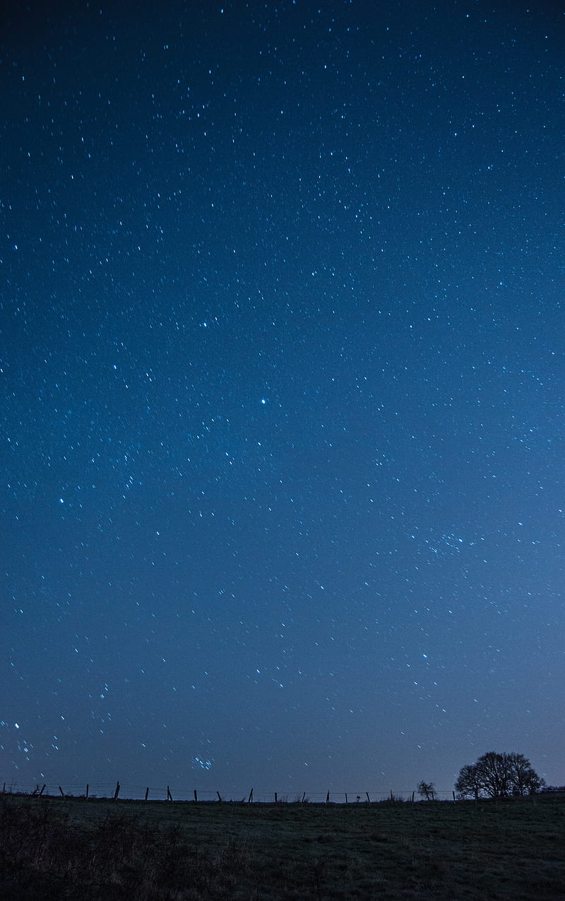 meadow, starry sky, night, stars, dark, HD phone wallpaper