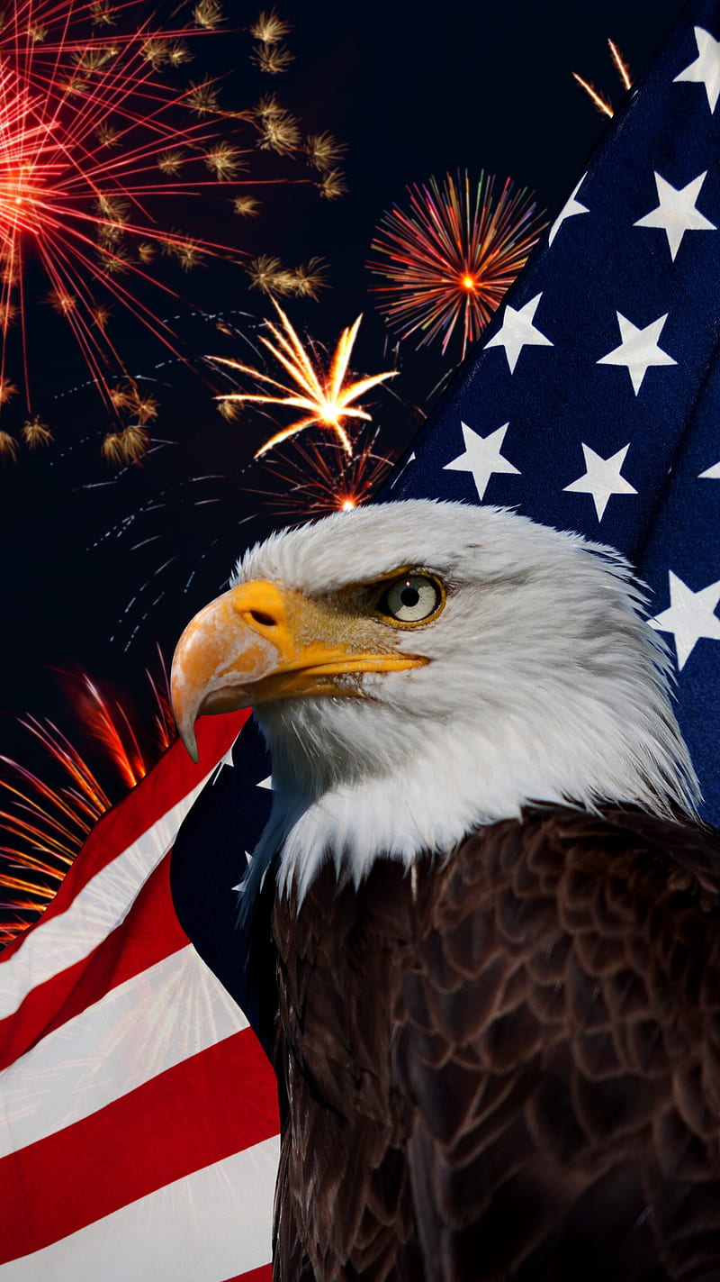 Eagle, 4th of july, fireworks, HD phone wallpaper