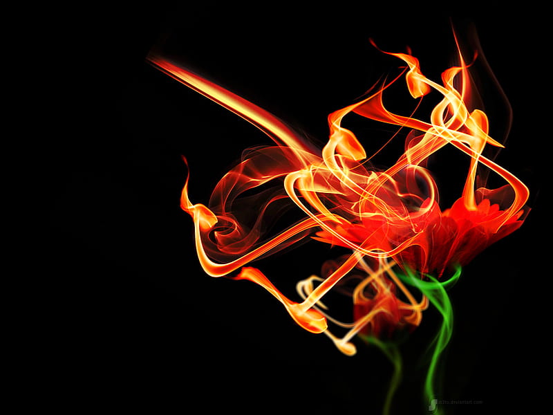 Burnning Flower, fire, 3d, flame, darkness, flower, burnning, abstract, smoke, HD wallpaper