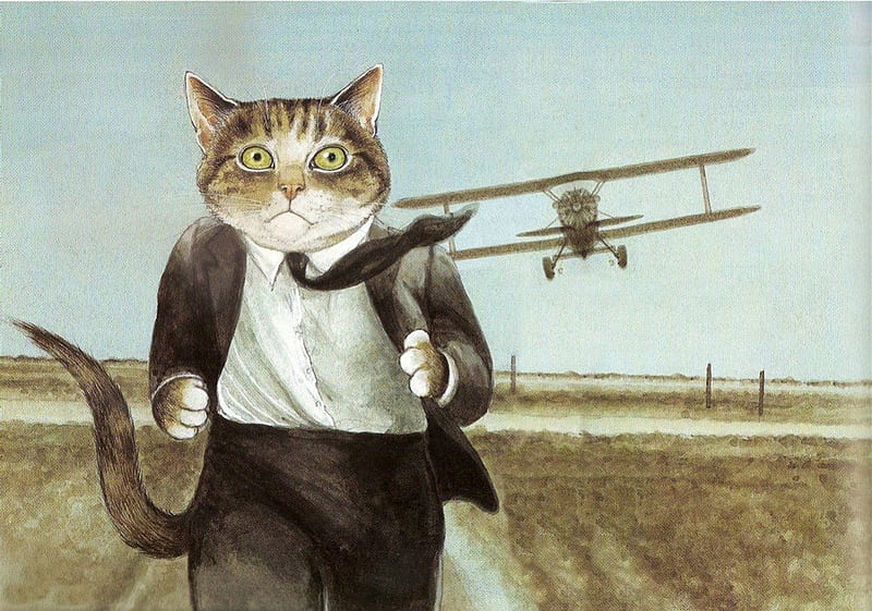 Gotta Run !, Funny Cat, Aircraft, Anime, Cat, Funny, Animal, HD wallpaper