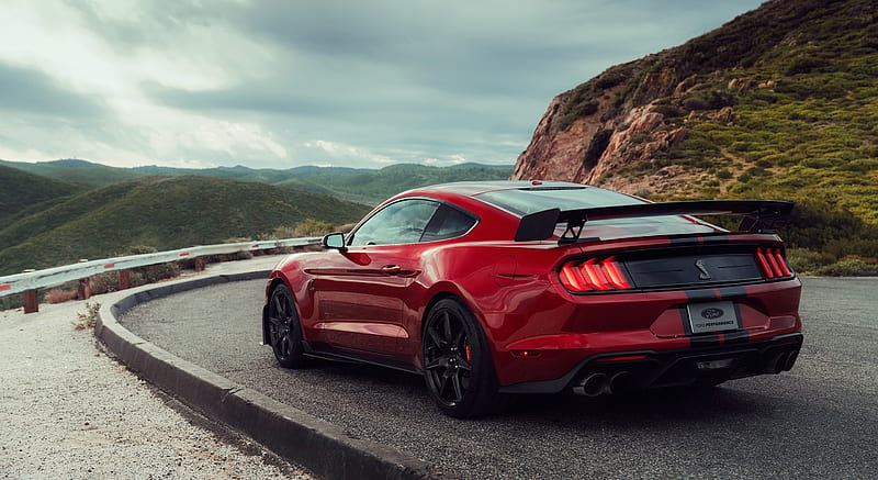 shelby mustang rear view