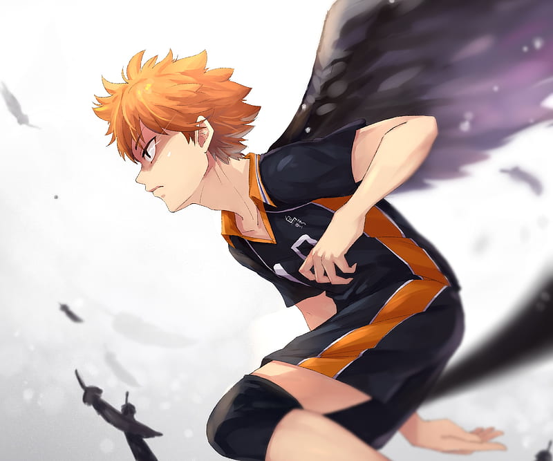 Anime, Haikyu!!, Shōyō Hinata, HD wallpaper | Peakpx