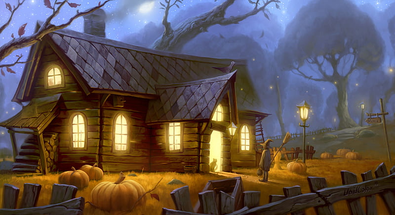 Pumpkin Farm, house, growing, farm, tree, pumpkin patch, pumpkin, garden, chimny, field, pumpkins, night, HD wallpaper