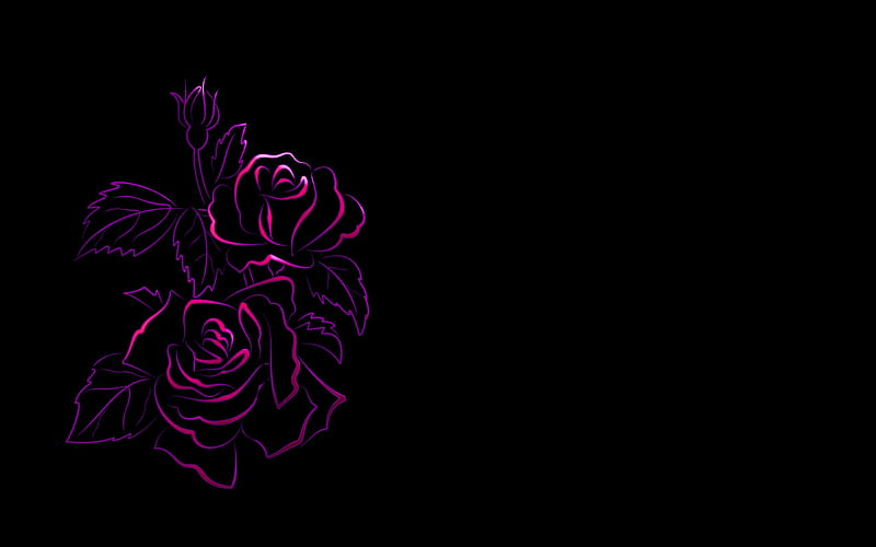 NEON ROSES, abstract, dark, love, digital, black, HD wallpaper