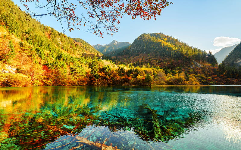 Jiuzhaigou National Park, autumn, forest, blue lake, Asia, China, HD wallpaper