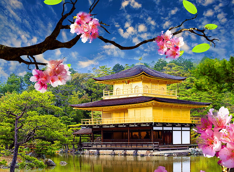 Golden Pavilion, asia, blossom tree, nature, river, temple, HD wallpaper