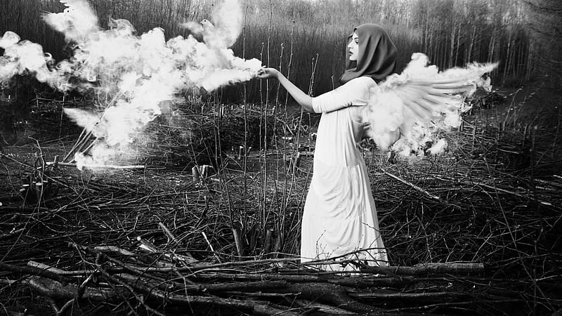 imagination, wings, angel, black, dom, graphy, wp, girl, bw, dove, white, HD wallpaper