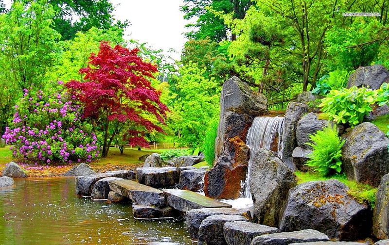 Beautiful Park in the Summer, pond, forest, rock, summer, park, trees, HD wallpaper